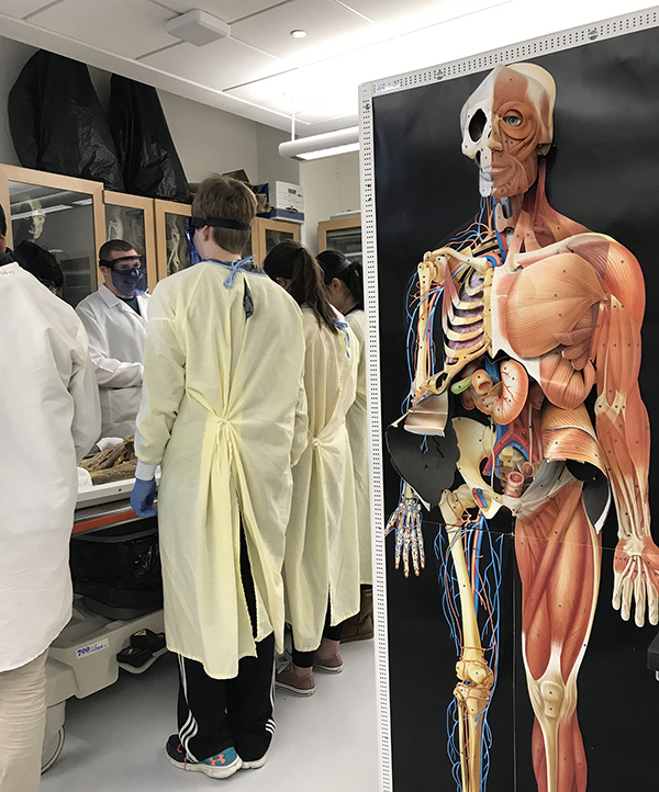 Students from Colfax examine one of the two cadavers at UW-Stout.