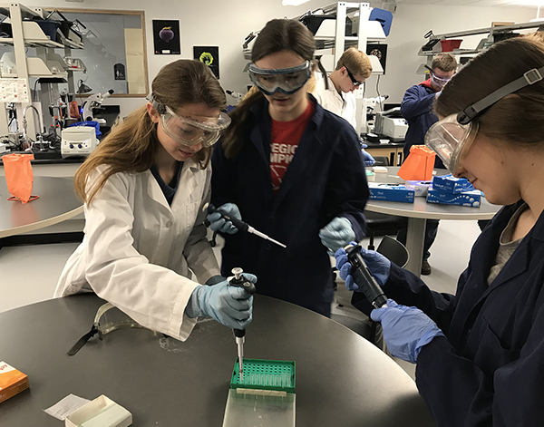 From left, Colfax students Teagan Field, Hailey Klukus and Kali Risler prepare to put animal blood on microscope slides at UW-Stout.