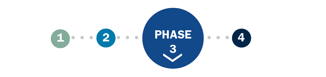 Phase 3