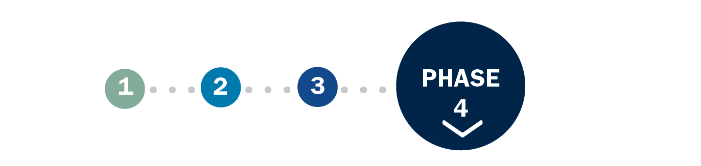 Phase 4
