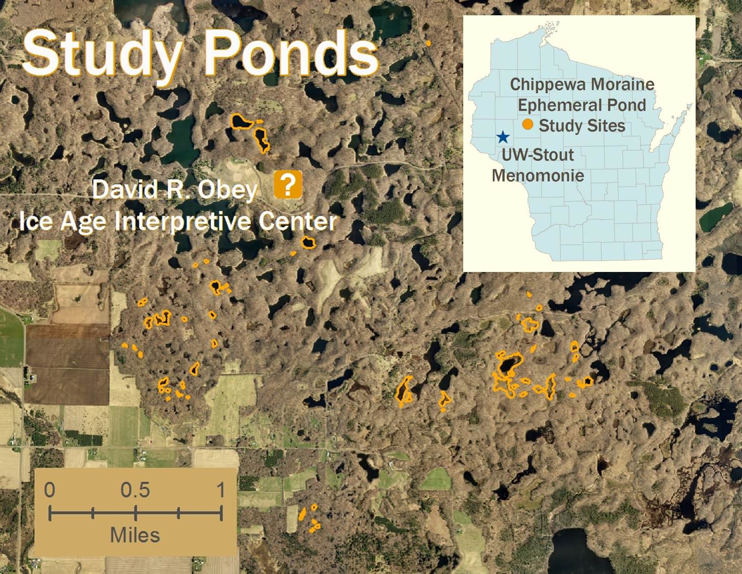 Study site reference map