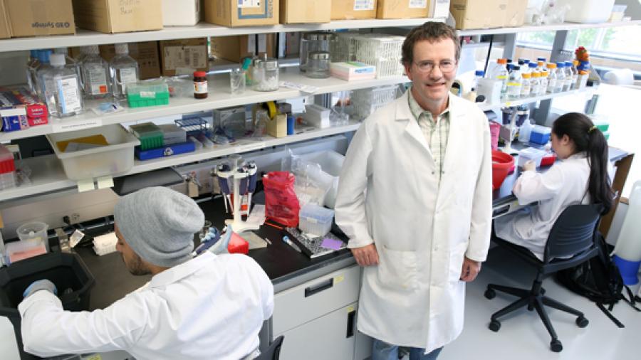 Biology Professor Jim Burritt works on the honey bee research project with students Matheus de Jesus and Viviane Oshima in a UW-Stout biotechnology lab