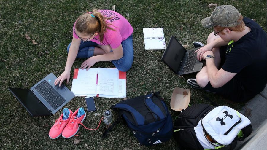 Students studying on the lawn.