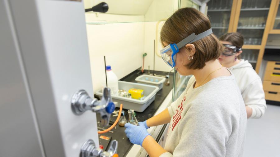 Honors Chemistry first-year students in the lab