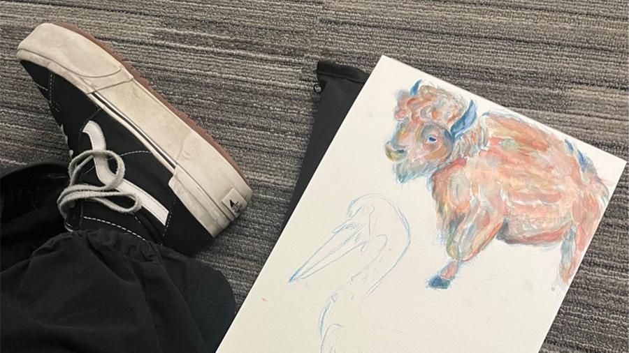 A sketch of a heron and a watercolor painting of a bison.