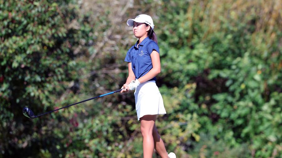 Player on golf course