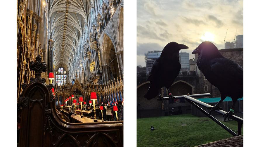 Side-by-side photos of Westminster Abbey interior and two ravens at the Tower of London