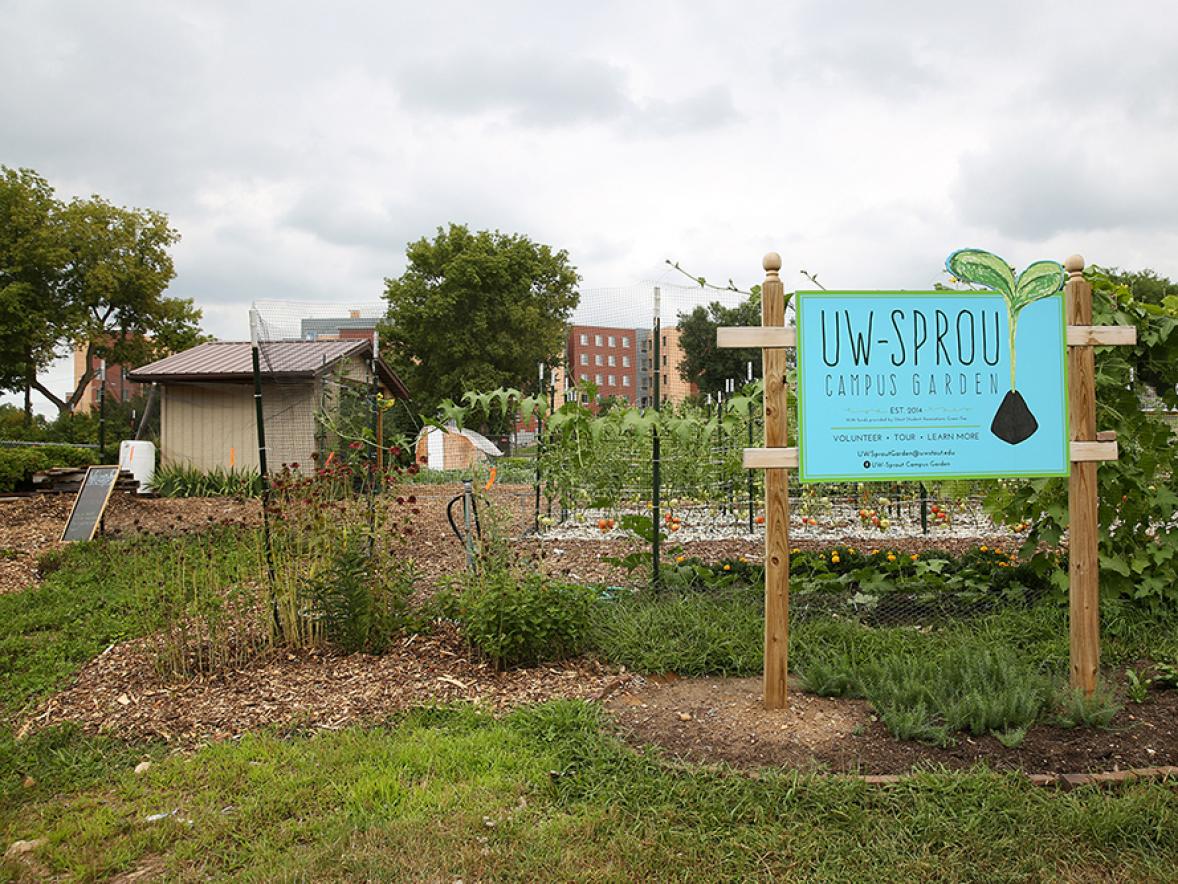 Sprout Garden at UW-Stout