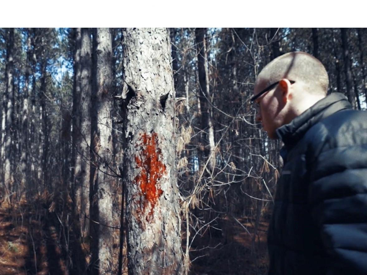 Walking in the forest, a man, portrayed by John Augustin, makes an unusual discovery in the film “L’Observateur.”