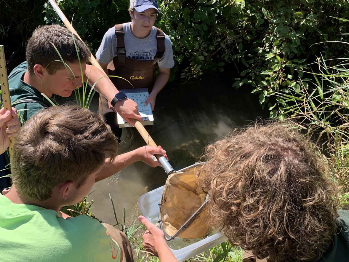 UW-Stout student Kal Breeden, background, monitors high school students as they look for macroinvertebrates in their net, which was dipped in Gilbert Creek.