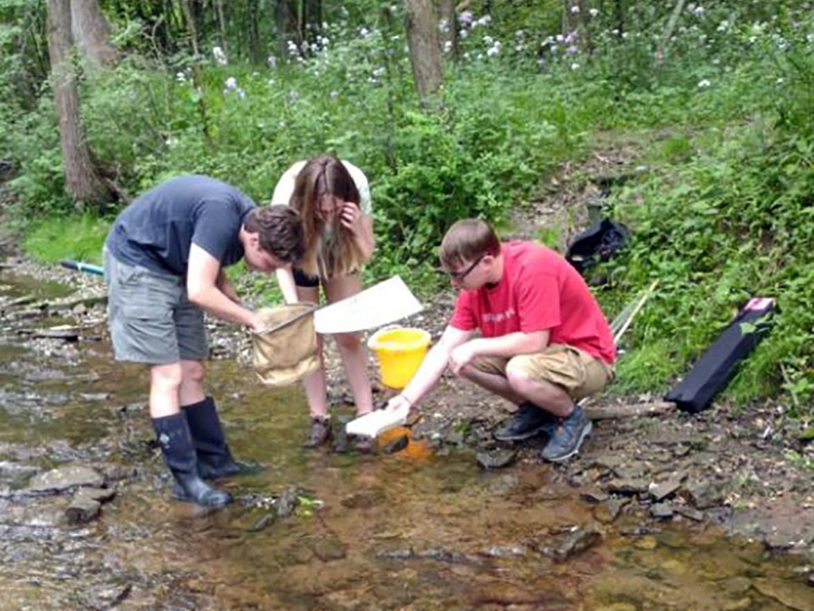 Students work in Galloway Creek as part of the watershed monitoring project.