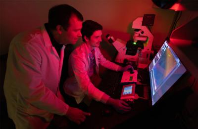 Assistant Professor Brian Teague and Ben Bryans observe a yeast colony with a fluorescence microscope.