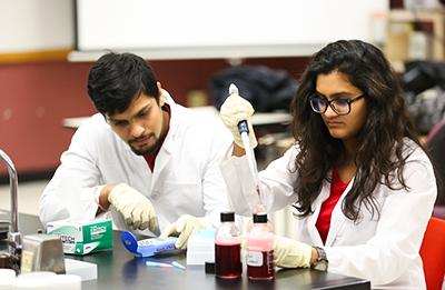 students working on food science experiment