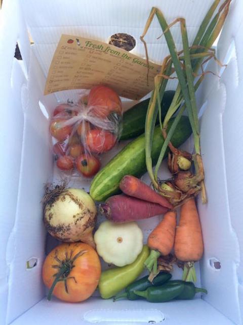 UW-Sprout Campus Garden CSA Share
