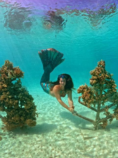 A woman dressed as a mermaid swims underwater between two coral formations attached to metal frames, holding onto one structure above a sandy ocean floor.