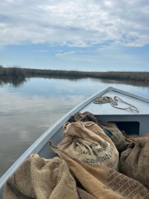 View from the bow of a small boat carrying burlap sacks through a marsh waterway.